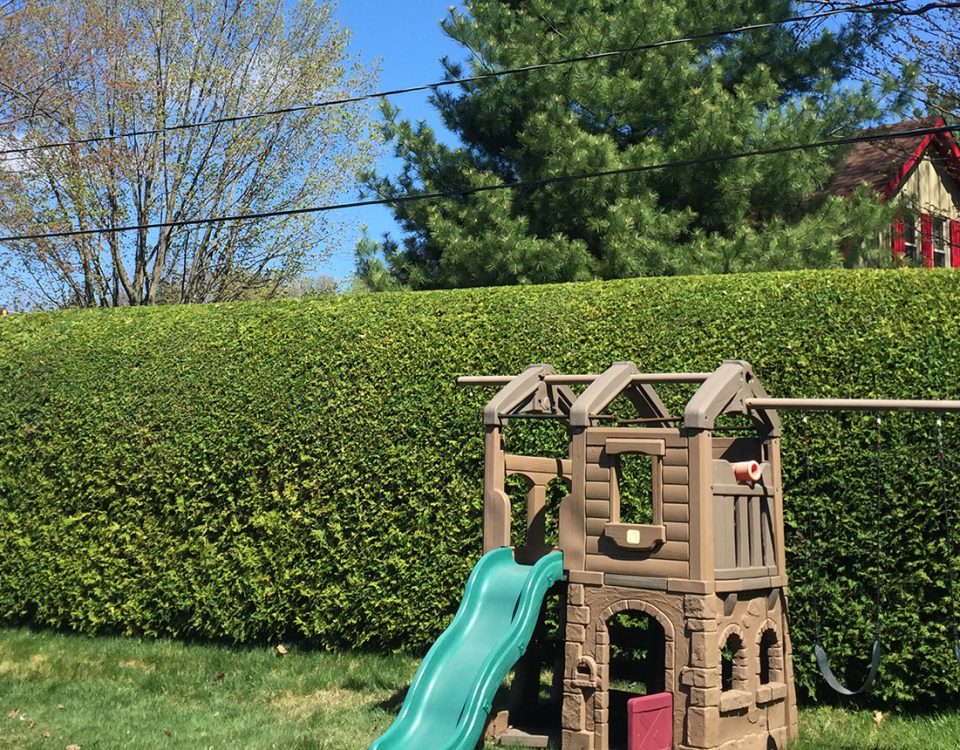 taille de haie sherbrooke Pros du cèdre