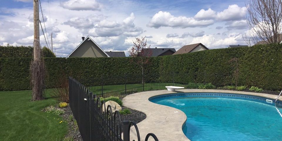 taille de haies de cèdre sherbrooke piscine