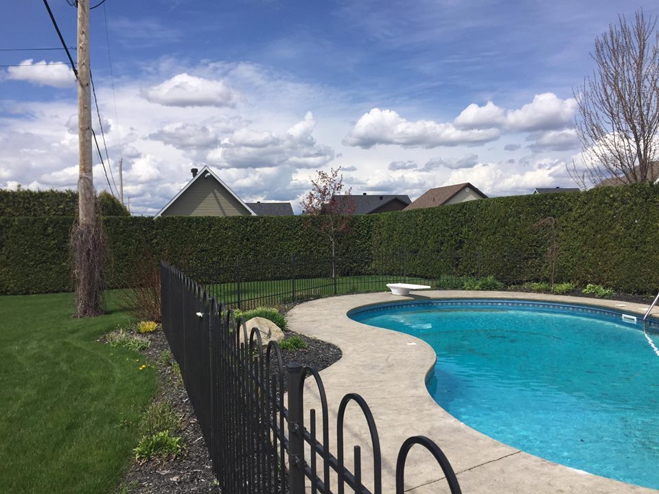 taille de haies de cèdre sherbrooke piscine